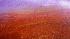N.J. Burkett covers BP oil spill