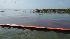 N.J. Burkett covers BP oil spill