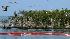 N.J. Burkett covers BP oil spill