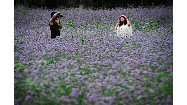 images of the week