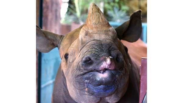 images of the week