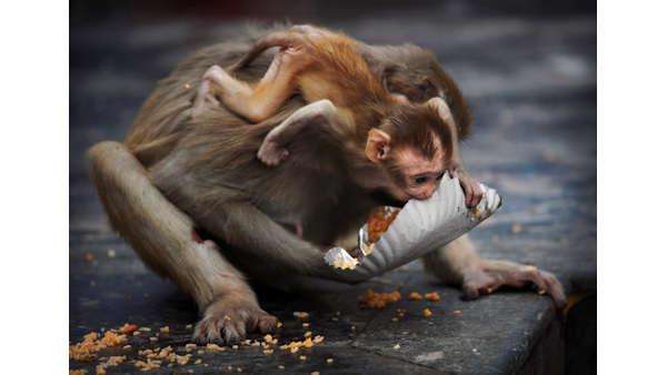 images of the week