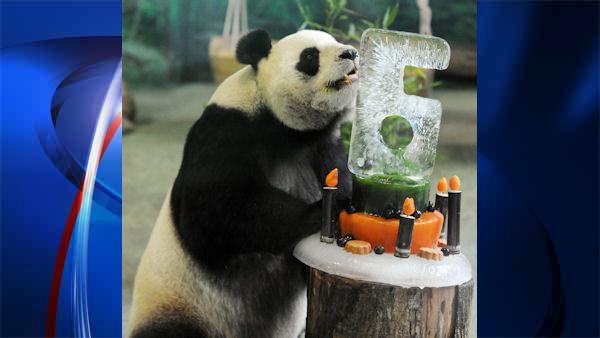 images of the week