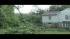 Storm knocks down trees in Lake Carmel