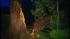 Storms cause damage throughout New York area