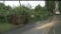 Heavy rain and winds brought down tree limbs...