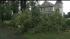 Heavy rain and winds brought down tree limbs...
