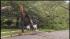 A state of emergency in Freehold after... :: Saturdays storm left downed power lines in Freehold New Jersey, where half the towns residents lost power.