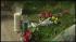 1 dead, 4 injured in Bloomfield crash