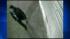 Surveillance video captures alleged Union Square...