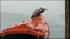 Jamaica braces for possible Hurricane Sandy