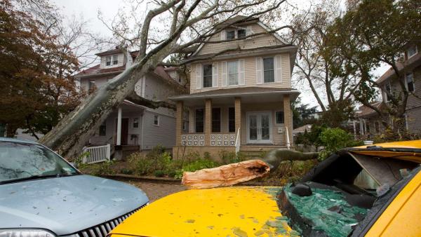 A tree leans against a house Tuesday, Oct. 30, 2012, in the Bay Ridge neighborhood in the Brooklyn borough of New York, while another tree lies on a taxi with a shattered rear window in the aftermath of superstorm Sandy.