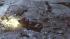 At least 4 fall through ice in Morris County