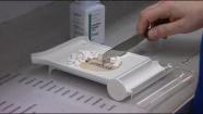 statins antibiotics