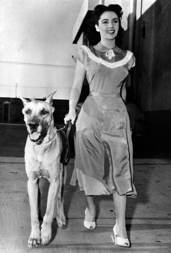 Actress Elizabeth Taylor, holding her dog...