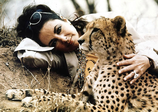 Film legend Elizabeth Taylor dies at age 79