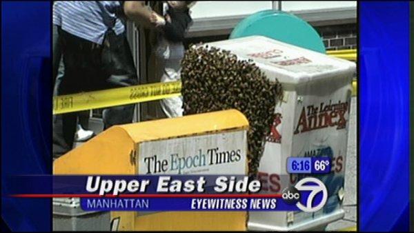 A professional beekeeper was called in to remove a swarm of honeybees in the city Wednesday.