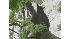 Black bear spotted in New Jersey