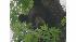 Black bear spotted in New Jersey