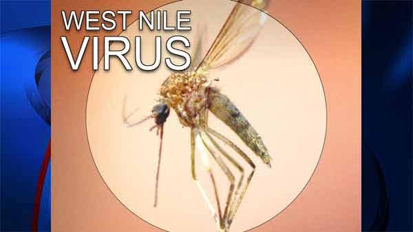 West Nile Virus
