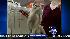 The annual cat show was held over the weekend at Madison Square Garden.