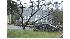 storm damage