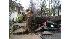 storm damage