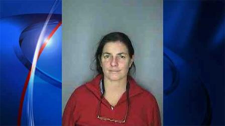 Police in New York say the wife of Robert
F. Kennedy Jr. has been charged with drunken driving.