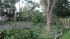 weather