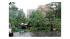 Riverdale, Bronx after storms on July 25, 2010...