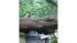Riverdale, Bronx after storms on July 25, 2010...