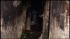 Five members of a Bronx family are injured in... ::