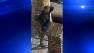 brooklyn robbery suspect