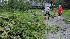 Wrath of Hurricane Ike