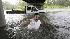 Wrath of Hurricane Ike