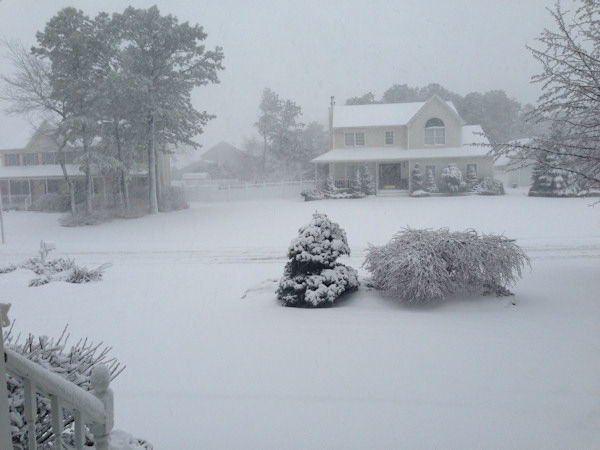 viewer photo