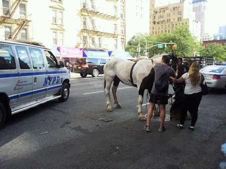 Carriage horse takes off, injures two tourists