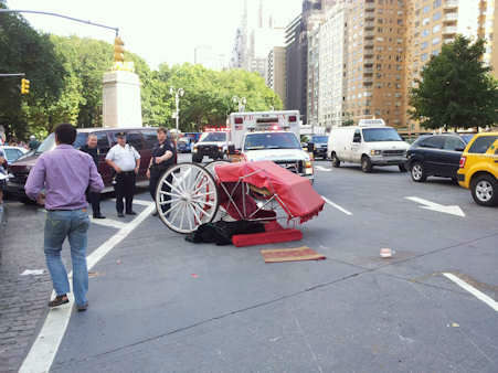 Carriage horse takes off, injures two tourists