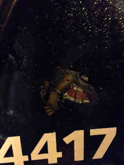 Photos: 3 charged with paintball attack as...