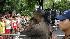 Fathers Day 2008
