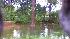 Eyewitness News viewer photo