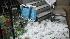 Eyewitness News viewer photo