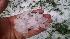 Eyewitness News viewer photo