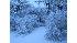 Viewer pictures from 01/18/09