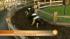 Pig Races