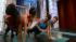 Fitness from The Peninsula Spa