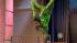 WCL What's New: Dralion performs in studio
