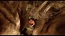 127 Hours is among 10 films in the running for Best Picture