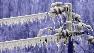 Cold weather safety