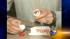 FBI reviewing evidence in 1982 Tylenol deaths ::